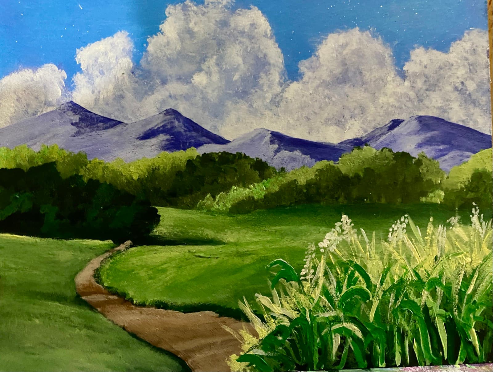 Junio: montañas, caminito y nubes. En abril no había agarrado un pincel.